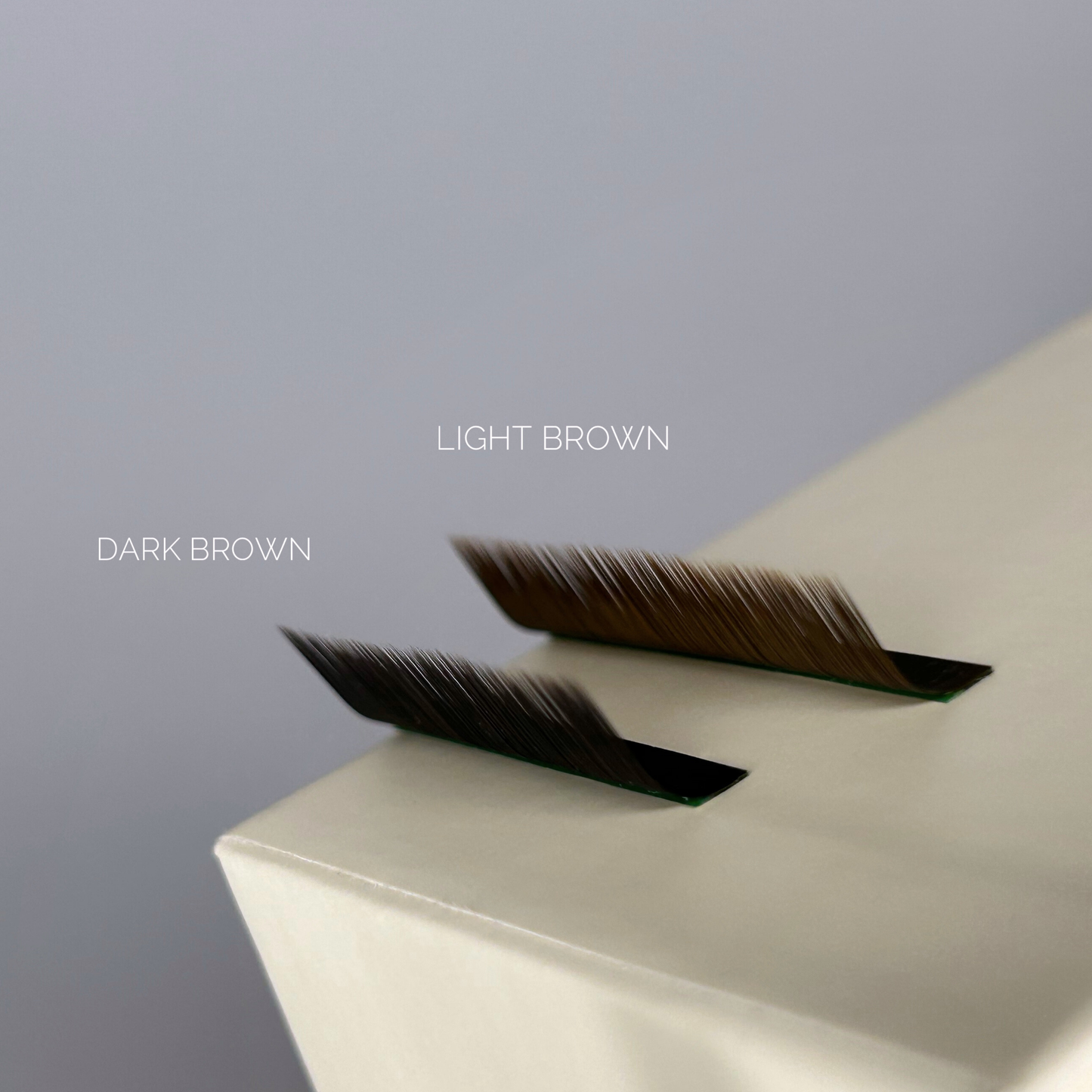 LIGHT BROWN - Blackness -  MIX